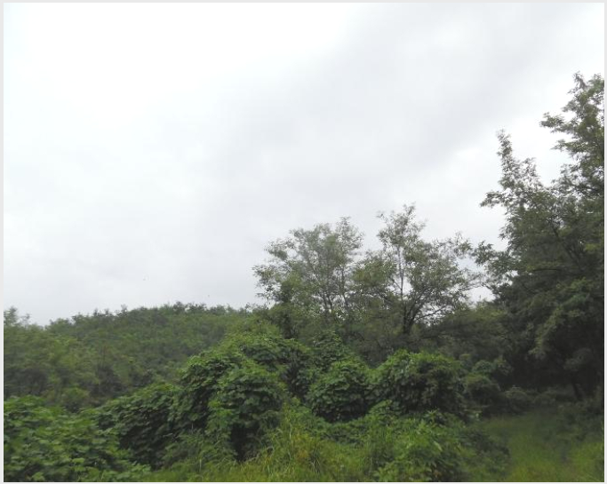 ÁÖÅà »çÁø1 | ¿©Áֽà ´ë½Å¸é ¿ÁÃ̸® | 2023Ÿ°æ3464 | ÁÖÅðæ¸Å