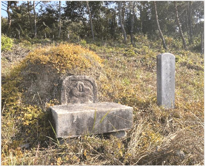 ÅäÁö(ÀÓ¾ß) »çÁø1 | ÇԾȱº Ä¥ºÏ¸é À̷ɸ® | 2025Ÿ°æ20929 | ÅäÁö(ÀÓ¾ß)°æ¸Å