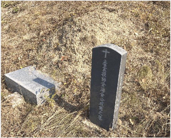 ÅäÁö(ÀÓ¾ß) »çÁø1 | ÇԾȱº Ä¥ºÏ¸é À̷ɸ® | 2025Ÿ°æ20929 | ÅäÁö(ÀÓ¾ß)°æ¸Å