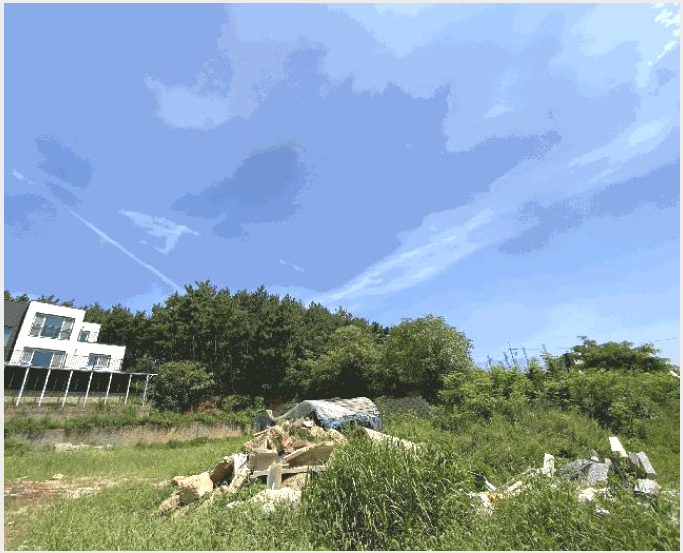 ÅäÁö(ÀÓ¾ß) »çÁø1 | ¾È»ê½Ã ´Ü¿ø±¸ ´ëºÎµ¿µ¿ | 2025Ÿ°æ52816 | ÅäÁö(ÀÓ¾ß)°æ¸Å