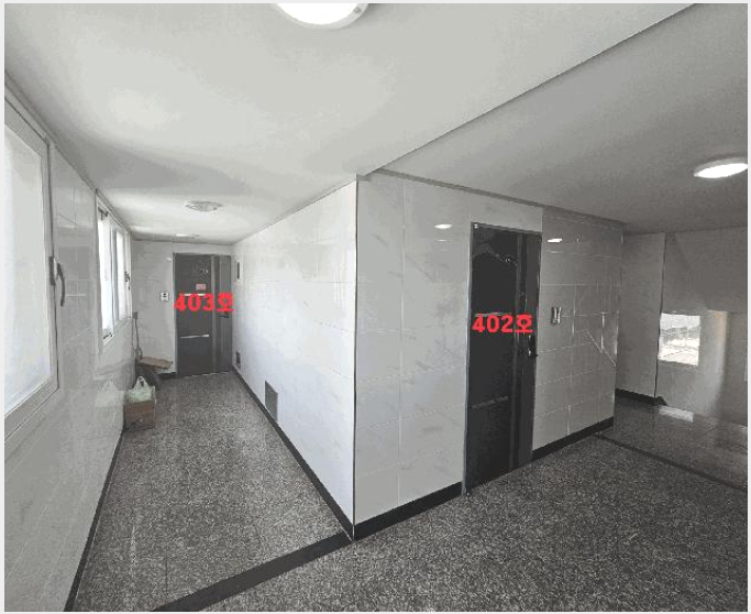 ´Ù¼¼´ë,ºô¶ó »çÁø1 | °æÁֽà °ÇõÀ¾ °Çõ¸® | 2025Ÿ°æ341 | ´Ù¼¼´ë,ºô¶ó°æ¸Å