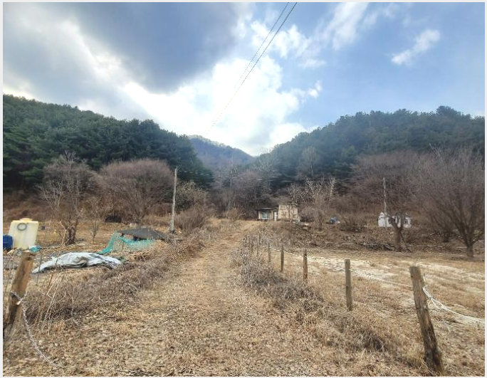 ÅäÁö(ÀÓ¾ß) »çÁø1 | Æ÷õ½Ã °üÀÎ¸é »çÁ¤¸® | 2024Ÿ°æ72144 | ÅäÁö(ÀÓ¾ß)°æ¸Å
