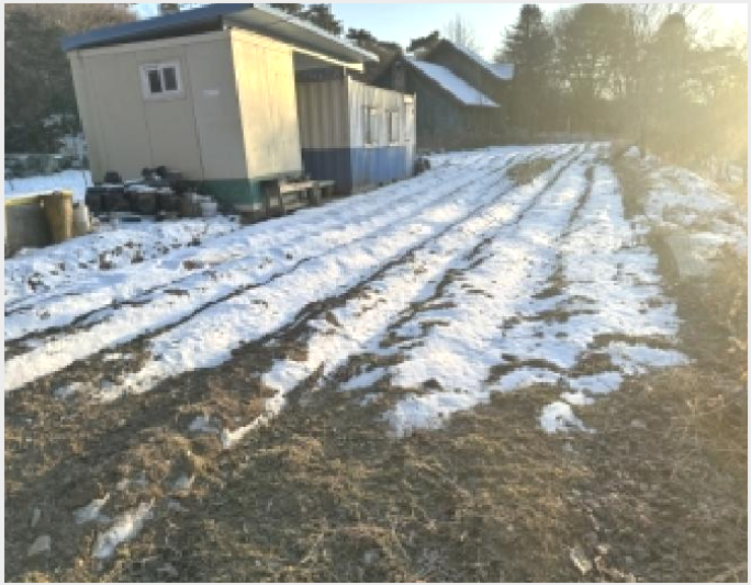 ÅäÁö(´ä) »çÁø1 | ûÁֽà û¿ø±¸ ³»¼öÀ¾ | 2026Ÿ°æ50117 | ÅäÁö(´ä)°æ¸Å