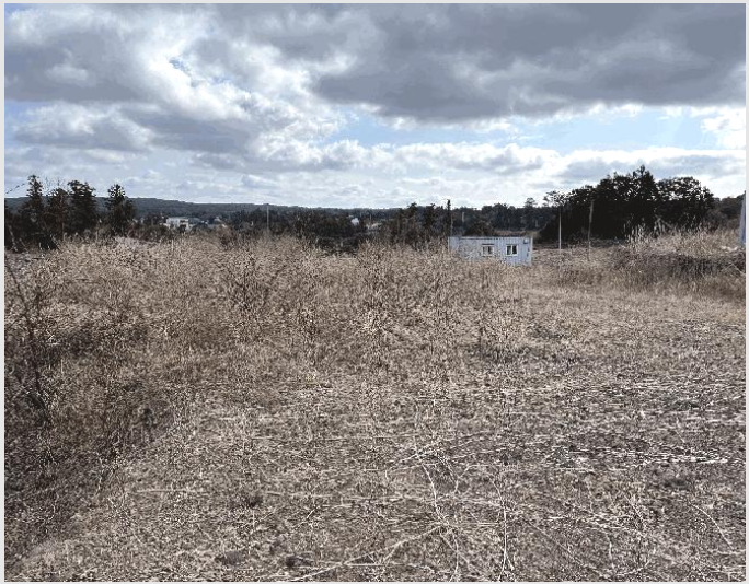 ÅäÁö(ÀÓ¾ß) »çÁø1 | Á¦Áֽà Á¶ÃµÀ¾ ¼±È긮 | 2025Ÿ°æ7515 | ÅäÁö(ÀÓ¾ß)°æ¸Å