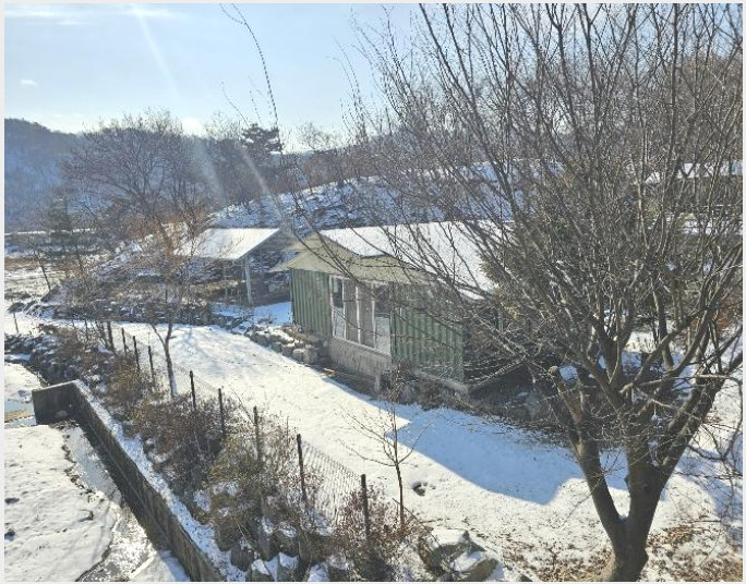 ÅäÁö(ÀâÁ¾Áö) »çÁø1 | Æ÷õ½Ã â¼ö¸é °í¼Ò¼º¸® | 2024Ÿ°æ92902 | ÅäÁö(ÀâÁ¾Áö)°æ¸Å