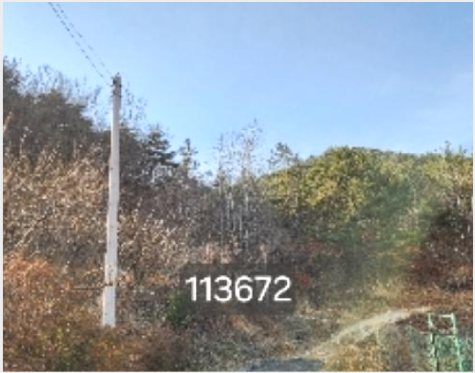 ÅäÁö(ÀÓ¾ß) »çÁø1 | ±âÀ屺 Àå¾ÈÀ¾ ¿ë¼Ò¸® | 2024Ÿ°æ113672 | ÅäÁö(ÀÓ¾ß)°æ¸Å