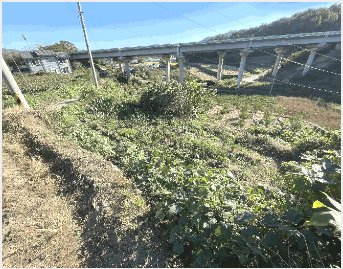 ÅäÁö(ÀÓ¾ß) »çÁø1 | º¸¼º±º ¹ú±³À¾ Ãßµ¿¸® | 2025Ÿ°æ51995 | ÅäÁö(ÀÓ¾ß)°æ¸Å