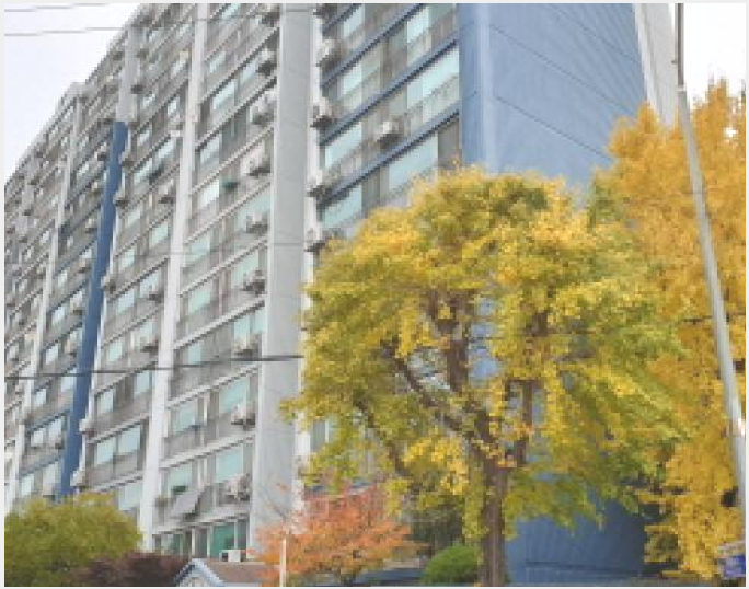 ¾ÆÆÄÆ® »çÁø1 | ¼ººÏ±¸ ¼®°üµ¿ 110-2 | 2025Ÿ°æ13563 | ¾ÆÆÄÆ®°æ¸Å