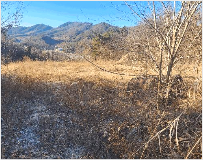 ÅäÁö(ÀÓ¾ß) »çÁø1 | â¿ø½Ã ÀÇⱸ ºÏ¸é | 2025Ÿ°æ879 | ÅäÁö(ÀÓ¾ß)°æ¸Å