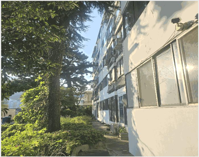 ´Ù¼¼´ë,ºô¶ó »çÁø1 | ¼±¸ µ¿´ë½Åµ¿3°¡ 258-29 | 2025Ÿ°æ101793 | ´Ù¼¼´ë,ºô¶ó°æ¸Å