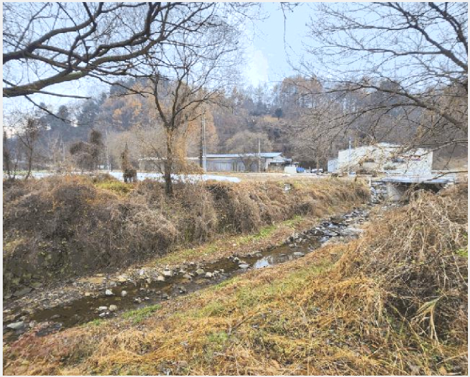 ÅäÁö(Àü) »çÁø1 | ±«»ê±º ±«»êÀ¾ ¼ºÎ¸® | 2025Ÿ°æ52030 | ÅäÁö(Àü)°æ¸Å