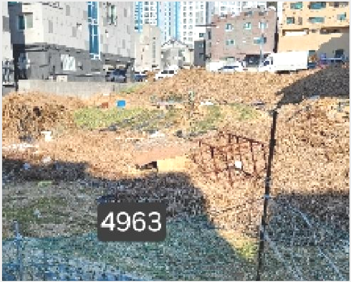 ÅäÁö(´ëÁö) »çÁø1 | ±âÀ屺 Á¤°üÀ¾ ¹æ°î¸® | 2025Ÿ°æ4963 | ÅäÁö(´ëÁö)°æ¸Å