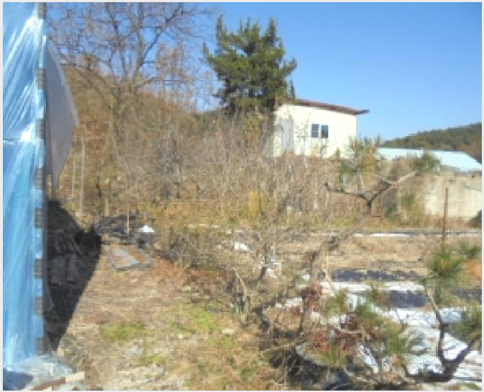 ÅäÁö(Àü) »çÁø1 | ûÁֽà »ó´ç±¸ ³²Àϸé | 2025Ÿ°æ52003 | ÅäÁö(Àü)°æ¸Å