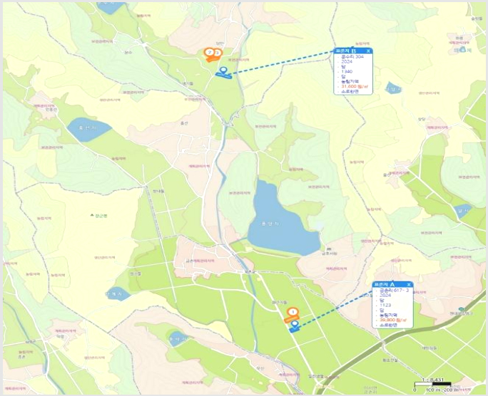 ÅäÁö(´ä) »çÁø1 | ûµµ±º À̼¸é ±ÝÃ̸® | 2024Ÿ°æ4148 | ÅäÁö(´ä)°æ¸Å
