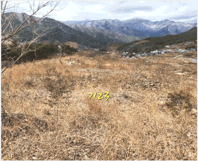 ÅäÁö(ÀÓ¾ß) »çÁø1 | »êû±º ´Ü¼º¸é ¿î¸® | 2025Ÿ°æ505 | ÅäÁö(ÀÓ¾ß)°æ¸Å