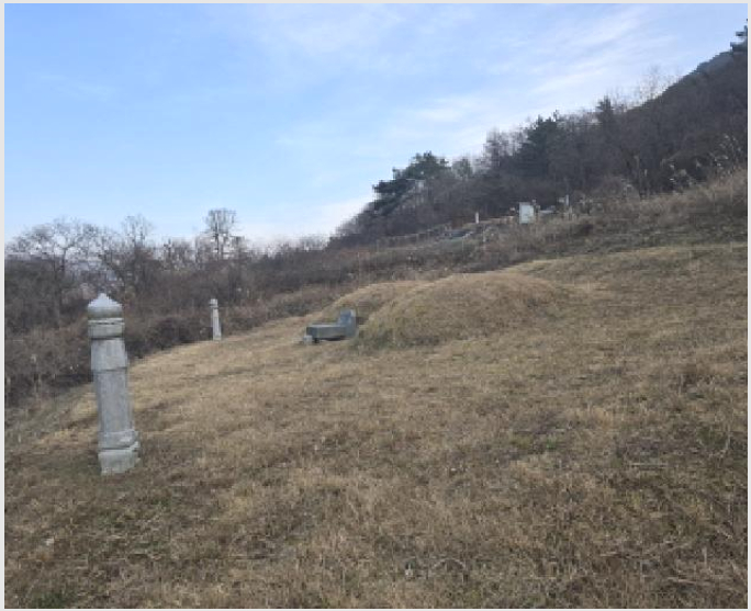 ÅäÁö(Àü) »çÁø1 | ¿µÃµ½Ã ÀÚ¾ç¸é ³ëÇ׸® | 2025Ÿ°æ9820 | ÅäÁö(Àü)°æ¸Å