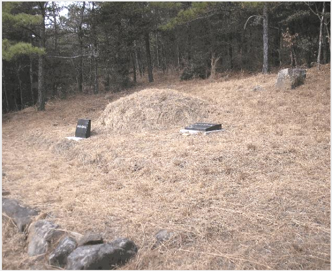 ÅäÁö(ÀÓ¾ß) »çÁø1 | ¼øÃµ½Ã ¿ÕÁöµ¿ »ê61 | 2026Ÿ°æ11 | ÅäÁö(ÀÓ¾ß)°æ¸Å
