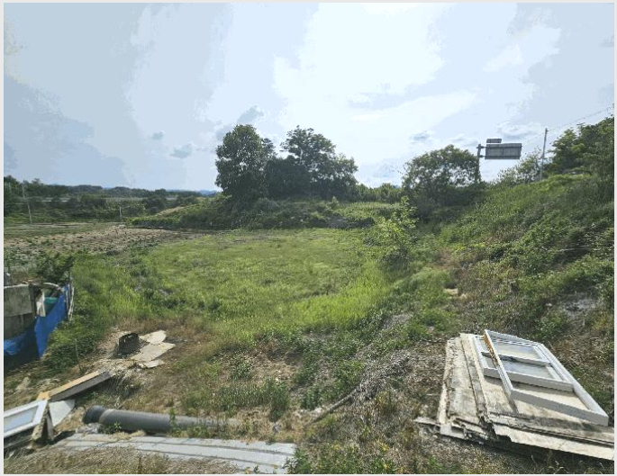 ÅäÁö(Àü) »çÁø1 | ÃæÁֽà ¾öÁ¤¸é À¯ºÀ¸® | 2025Ÿ°æ30550 | ÅäÁö(Àü)°æ¸Å