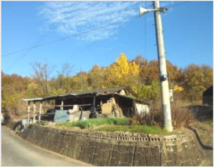 ÅäÁö(´ëÁö) »çÁø1 | ´Þ¼º±º ±¸Áö¸é ¸ñ´Ü¸® | 2025Ÿ°æ31994 | ÅäÁö(´ëÁö)°æ¸Å
