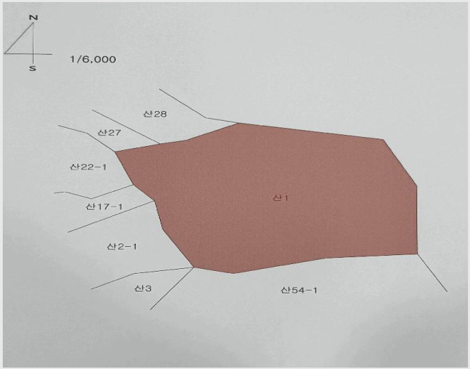 ÅäÁö(ÀÓ¾ß) »çÁø1 | ´Þ¼º±º ¿ÁÆ÷À¾ ¹Ý¼Û¸® | 2025Ÿ°æ32056 | ÅäÁö(ÀÓ¾ß)°æ¸Å