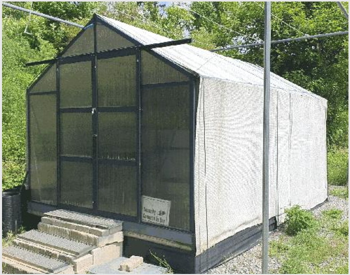ÅäÁö(Àü) »çÁø1 | ³²±¸ ¾ç°úµ¿ 1093-2 | 2025Ÿ°æ2772 | ÅäÁö(Àü)°æ¸Å