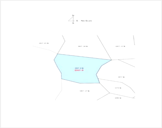 ÅäÁö(ÀÓ¾ß) »çÁø1 | ¿µ±¤±º ¹é¼öÀ¾ ±æ¿ë¸® | 2024Ÿ°æ75049 | ÅäÁö(ÀÓ¾ß)°æ¸Å