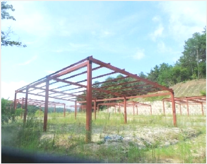 ÅäÁö(ÀÓ¾ß) »çÁø1 | Ãáõ½Ã ½ÅºÏÀ¾ Áö³»¸® | 2025Ÿ°æ1760 | ÅäÁö(ÀÓ¾ß)°æ¸Å