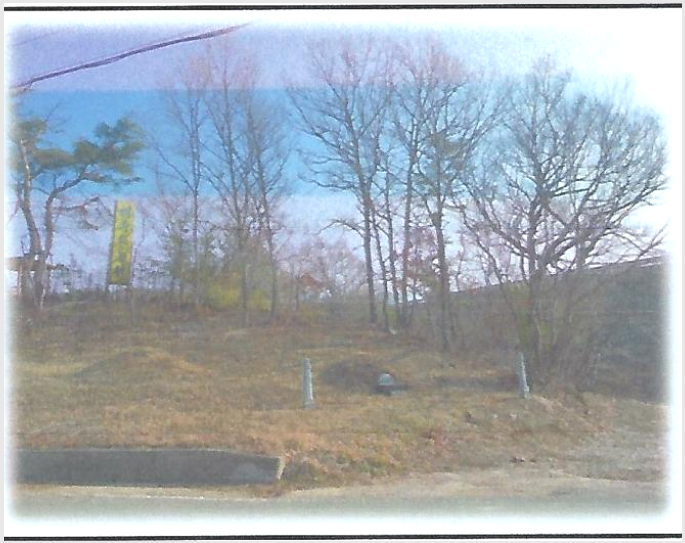 ÅäÁö(ÀÓ¾ß) »çÁø1 | Æ÷Ç׽à ³²±¸ µ¿Çظé | 2023Ÿ°æ3712 | ÅäÁö(ÀÓ¾ß)°æ¸Å