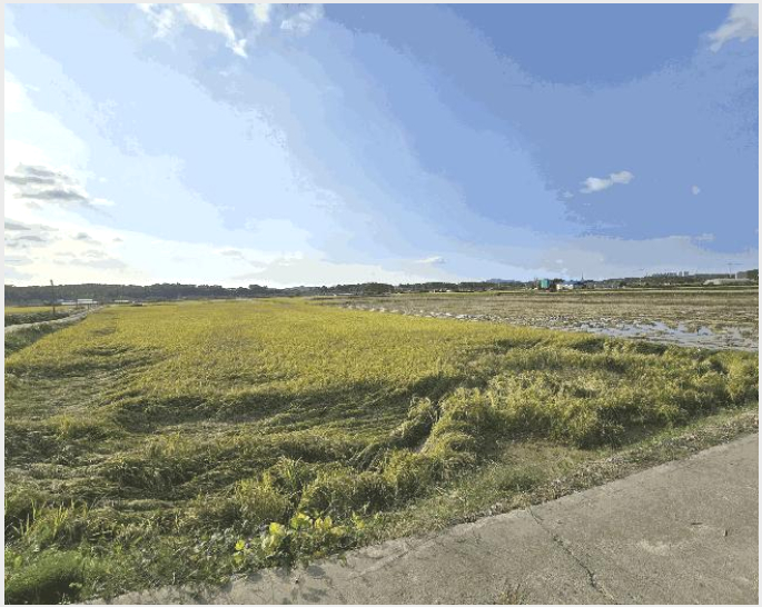 ÅäÁö(´ä) »çÁø1 | ¼»ê½Ã ÇØ¹Ì¸é °üÀ¯¸® | 2025Ÿ°æ51777 | ÅäÁö(´ä)°æ¸Å