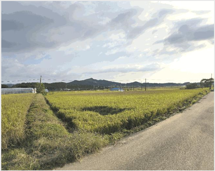 ÅäÁö(´ä) »çÁø1 | ¼»ê½Ã ÇØ¹Ì¸é °üÀ¯¸® | 2025Ÿ°æ51777 | ÅäÁö(´ä)°æ¸Å