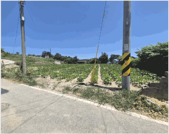 ÅäÁö(Àü) »çÁø1 | ¿µÁֽà ¾ÈÁ¤¸é ½ÅÀü¸® | 2025Ÿ°æ10587 | ÅäÁö(Àü)°æ¸Å