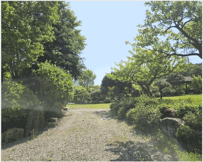 ÅäÁö(ÀÓ¾ß) »çÁø1 | ±âÀ屺 ±âÀåÀ¾ ³»¸® | 2025Ÿ°æ4998 | ÅäÁö(ÀÓ¾ß)°æ¸Å