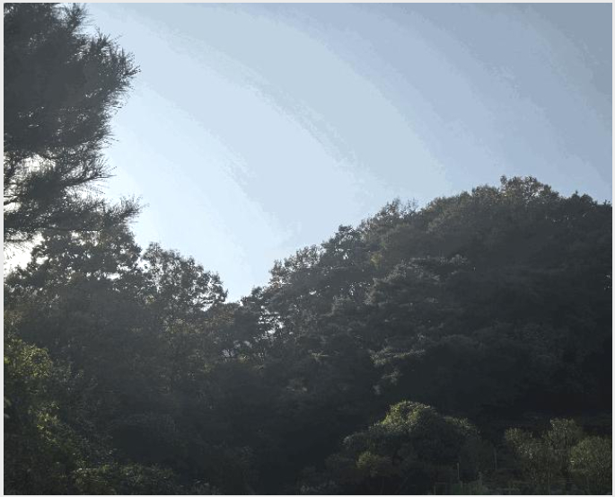 ÅäÁö(ÀÓ¾ß) »çÁø1 | °í·É±º °³Áø¸é Á÷¸® | 2025Ÿ°æ31983 | ÅäÁö(ÀÓ¾ß)°æ¸Å