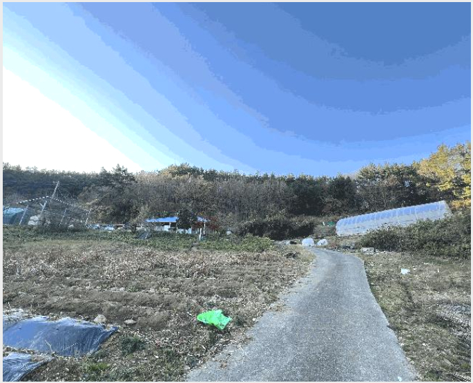 ÅäÁö(´ä) »çÁø1 | žȱº ÀÌ¿ø¸é Æ÷Áö¸® | 2025Ÿ°æ51940 | ÅäÁö(´ä)°æ¸Å