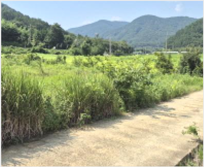 ÅäÁö(´ä) »çÁø1 | °í¼º±º ÇÏÀÏ¸é ¿À¹æ¸® | 2025Ÿ°æ570 | ÅäÁö(´ä)°æ¸Å