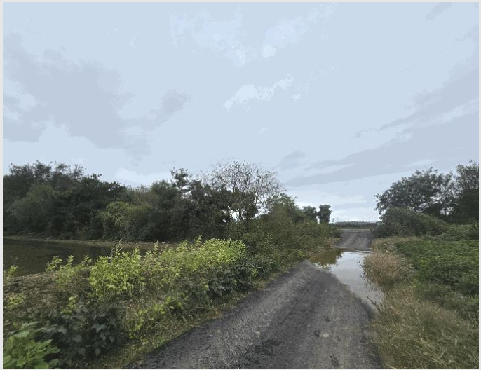 ÅäÁö(´ä) »çÁø1 | ÆòÅýà °í´ö¸é Á±³¸® | 2025Ÿ°æ42717 | ÅäÁö(´ä)°æ¸Å