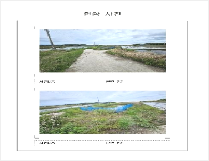 ÅäÁö(´ä) »çÁø1 | ½Å¾È±º ¾ÐÇØÀ¾ ½Å¿ë¸® | 2025Ÿ°æ368 | ÅäÁö(´ä)°æ¸Å