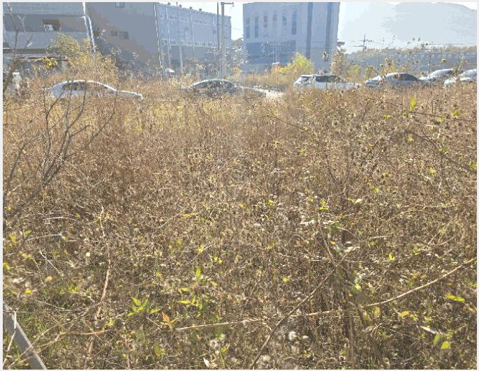 ÅäÁö(´ëÁö) »çÁø1 | ±èÇØ½Ã Áø·Ê¸é »êº»¸® | 2025Ÿ°æ12375 | ÅäÁö(´ëÁö)°æ¸Å