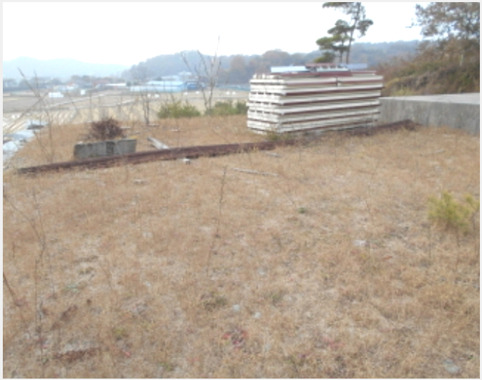 ÅäÁö(ÀÓ¾ß) »çÁø1 | À屺¸é ´ë±³¸® 113-4 | 2022Ÿ°æ110988 | ÅäÁö(ÀÓ¾ß)°æ¸Å