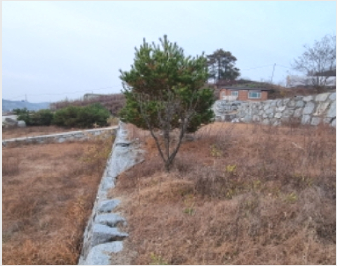 ÅäÁö(ÀÓ¾ß) »çÁø1 | À屺¸é ´ë±³¸® 113-4 | 2022Ÿ°æ110988 | ÅäÁö(ÀÓ¾ß)°æ¸Å