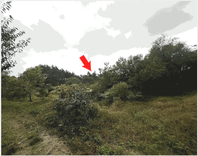 ÅäÁö(Àü) »çÁø1 | °í¼º±º °£¼ºÀ¾ ¾îõ¸® | 2025Ÿ°æ10356 | ÅäÁö(Àü)°æ¸Å