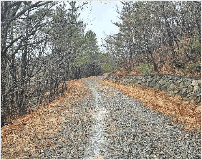 ÅäÁö(ÀÓ¾ß) »çÁø1 | ºÏ±¸ ´Þõµ¿ »ê166-3 | 2025Ÿ°æ11339 | ÅäÁö(ÀÓ¾ß)°æ¸Å