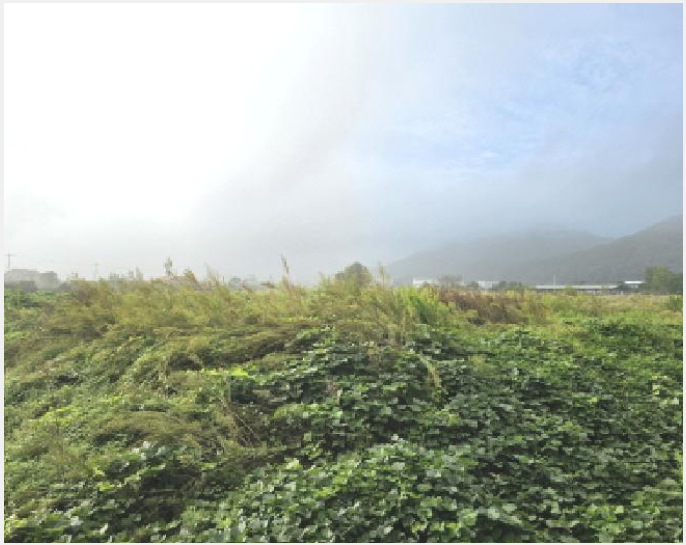 ÅäÁö(Àü) »çÁø1 | Á¤À¾½Ã ¼Û»êµ¿ 53-7 | 2025Ÿ°æ30387 | ÅäÁö(Àü)°æ¸Å