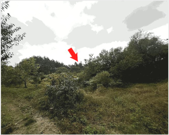 ÅäÁö(Àü) »çÁø1 | °í¼º±º °£¼ºÀ¾ ¾îõ¸® | 2025Ÿ°æ10356 | ÅäÁö(Àü)°æ¸Å