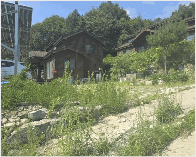 ÅäÁö(ÀÓ¾ß) »çÁø1 | Ⱦ¼º±º °¸²¸é °¸²¸® | 2025Ÿ°æ20855 | ÅäÁö(ÀÓ¾ß)°æ¸Å