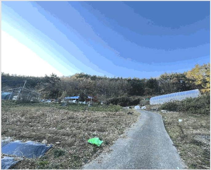 ÅäÁö(´ä) »çÁø1 | žȱº ÀÌ¿ø¸é Æ÷Áö¸® | 2025Ÿ°æ51940 | ÅäÁö(´ä)°æ¸Å