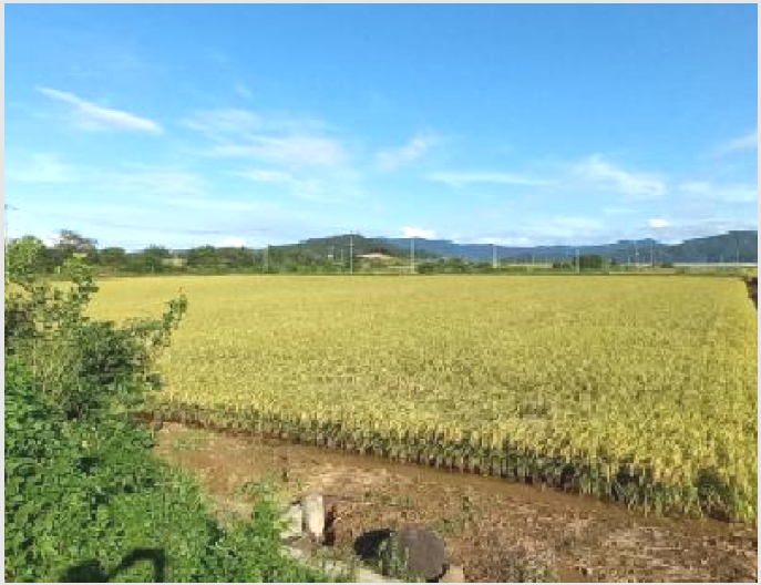 ÅäÁö(´ä) »çÁø1 | ö¿ø±º µ¿¼ÛÀ¾ °ü¿ì¸® | 2025Ÿ°æ3831 | ÅäÁö(´ä)°æ¸Å
