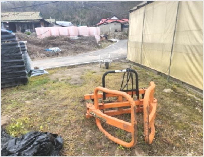 ÅäÁö(´ëÁö) »çÁø1 | °È±º ³»°¡¸é ¿ÜÆ÷¸® | 2025Ÿ°æ508490 | ÅäÁö(´ëÁö)°æ¸Å
