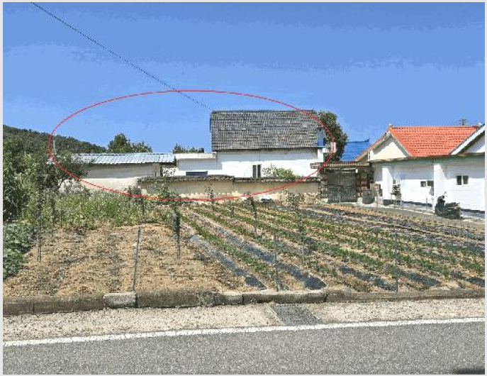 ÅäÁö(´ëÁö) »çÁø1 | õ¾È½Ã µ¿³²±¸ º´Ãµ¸é | 2025Ÿ°æ11804 | ÅäÁö(´ëÁö)°æ¸Å