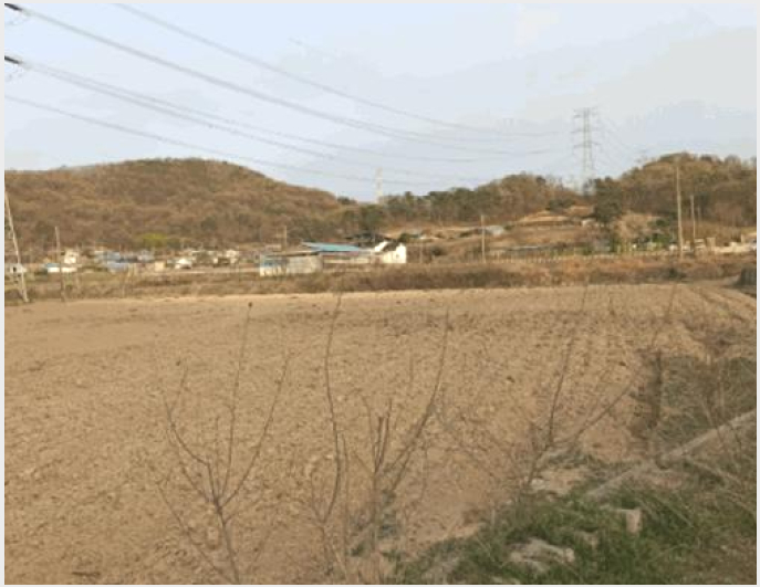 ÅäÁö(´ä) »çÁø1 | ¾Æ»ê½Ã ¿µÀÎ¸é ½ÅºÀ¸® | 2025Ÿ°æ458 | ÅäÁö(´ä)°æ¸Å